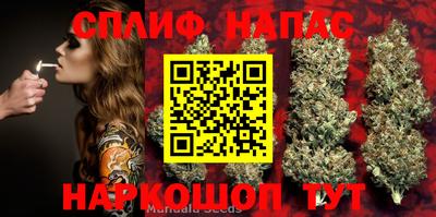 каннабис Заволжье