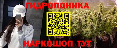 гашик Жуковский