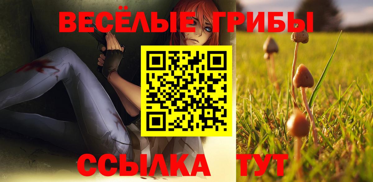 Новоалтайск  Галлюциногенные грибы Cubensis  Вход с VPN  Псилоцибиновые грибы Cubensis 